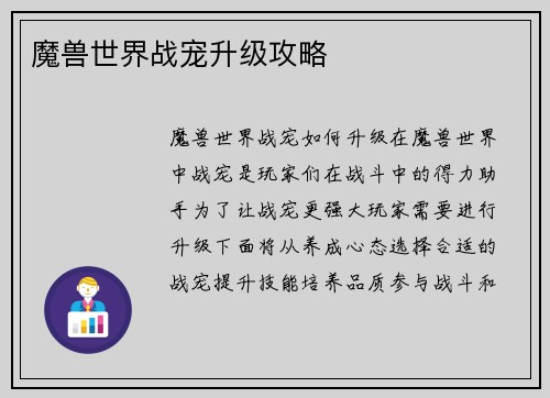魔兽世界战宠升级攻略